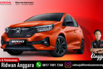 All New Brio