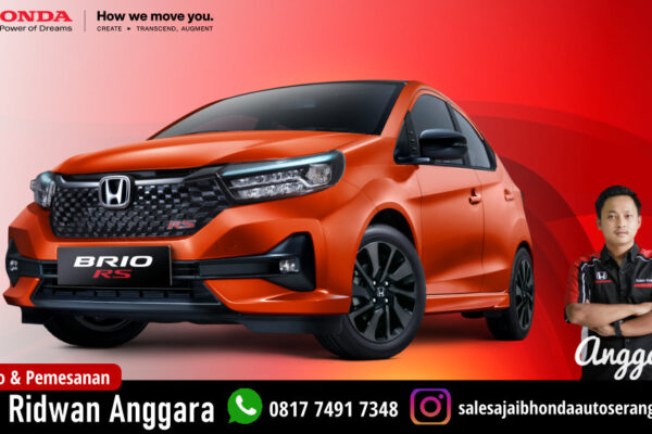 All New Brio