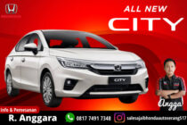 All New City