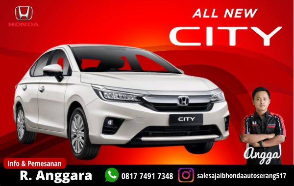 All New City